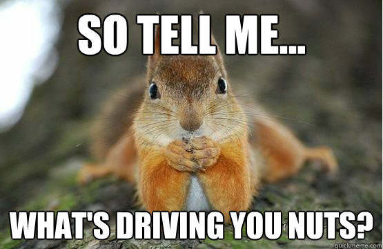 So Tell Me What S Driving You Nuts
