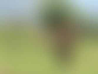 ハセカンツィ村への訪問