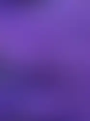 Lavender: The Ultimate Herb