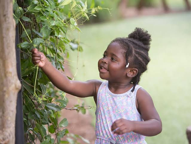 How to Foster the Love of the environment in your Child.