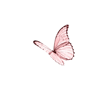 pinkbutt.png