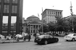 _MG_1115