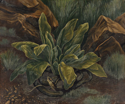 Katherine Shubert painting Snake in the Grass