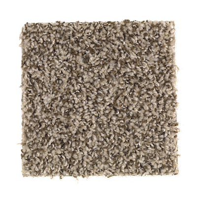 Coastal Beige
