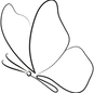 butterfly