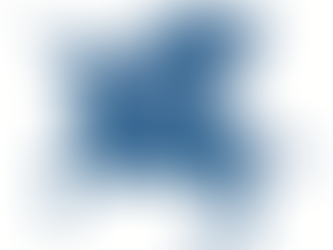 The Personal Investor and Initial Public Offerings: The idea of flying horses