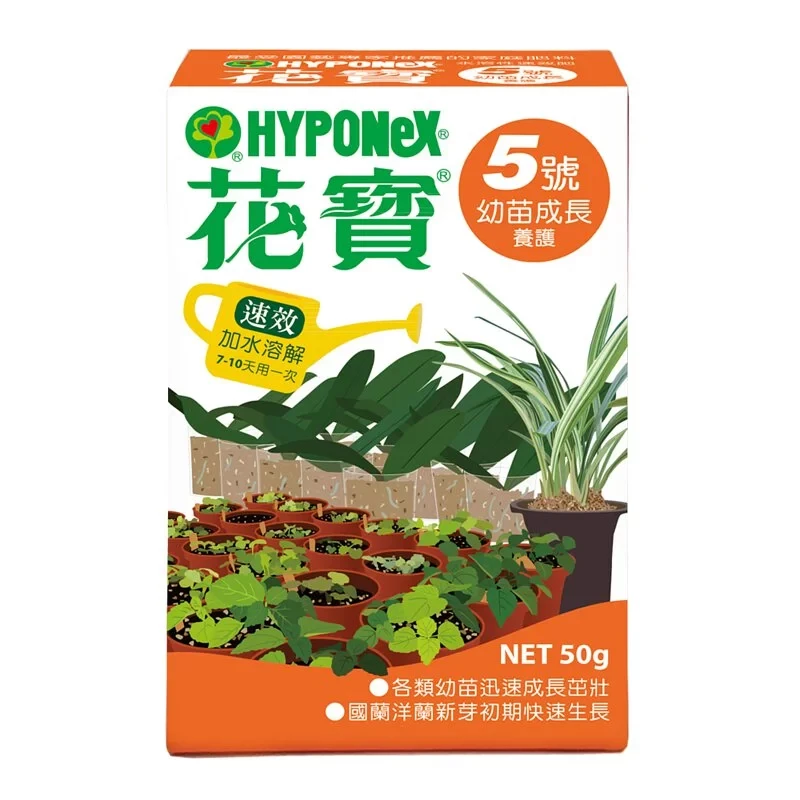花寶 5 號