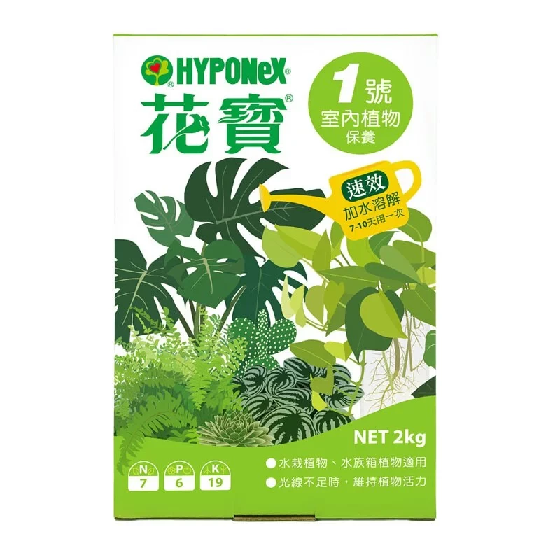 縮圖：花寶一號
