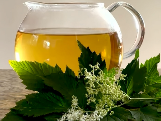 Meadowsweet: Nature’s Aspirin with a Sweet Twist