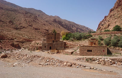 DSC_0285 (2).JPG