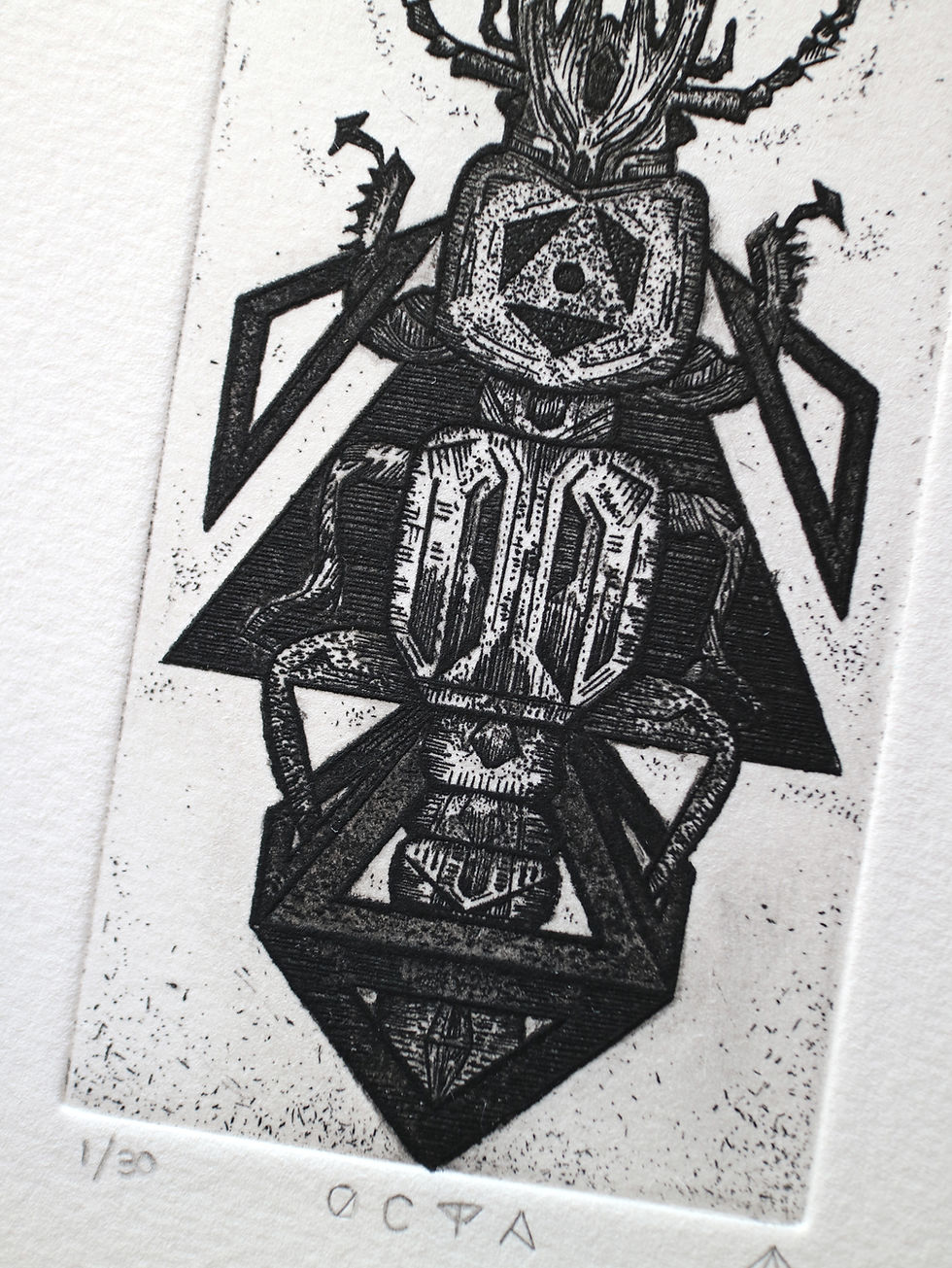 Thumbnail: Octa. Beetle Etching with aquatint. original Intaglio Print. Dionne Marshall, Punctured Artefact