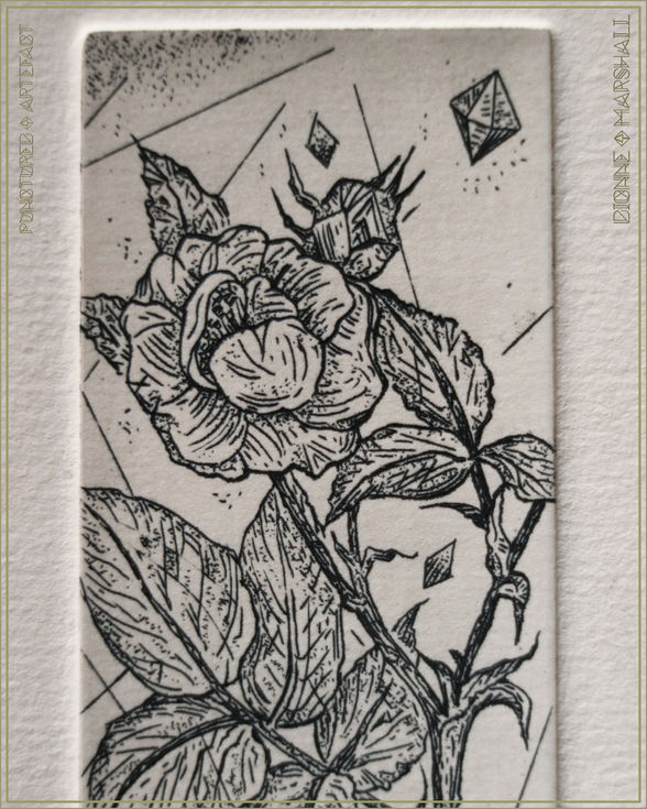 Stem 1. Botanical Etching. Original Intaglio Print. By artist Dionne Marshall