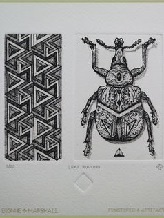 Leaf Rolling Beetle | Multiple Plate Etching With Aquatint | Beetle With Tetrahedron | By Artist Dionne Marshall - Punctured Artefact