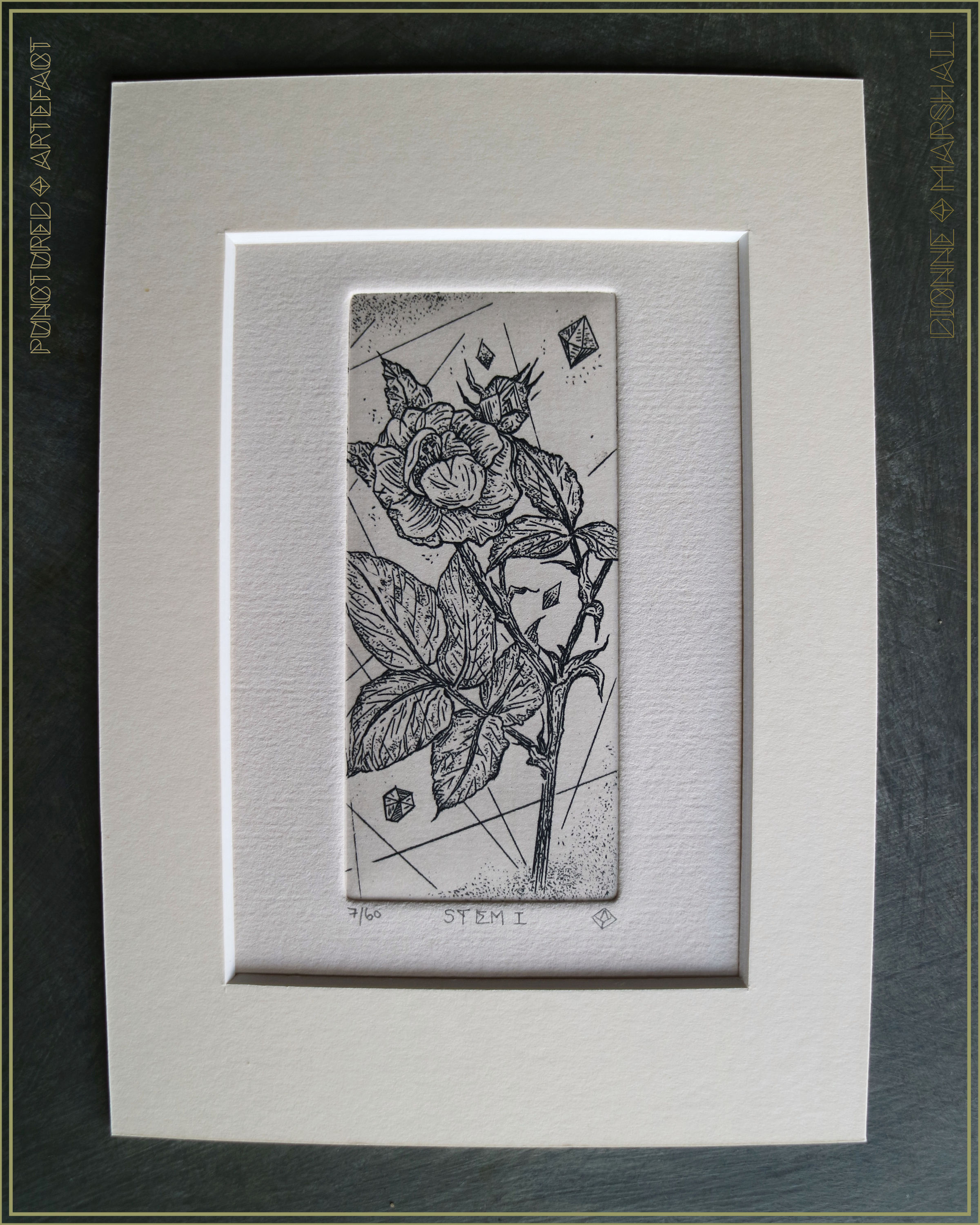Stem 1 | Botanical Copper Plate Etching | Wild Rose & bud | Artist Dionne Marshall - Punctured Artefact