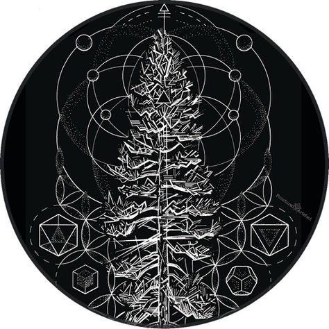 CUSTOM INK | Sacred Ponderosa