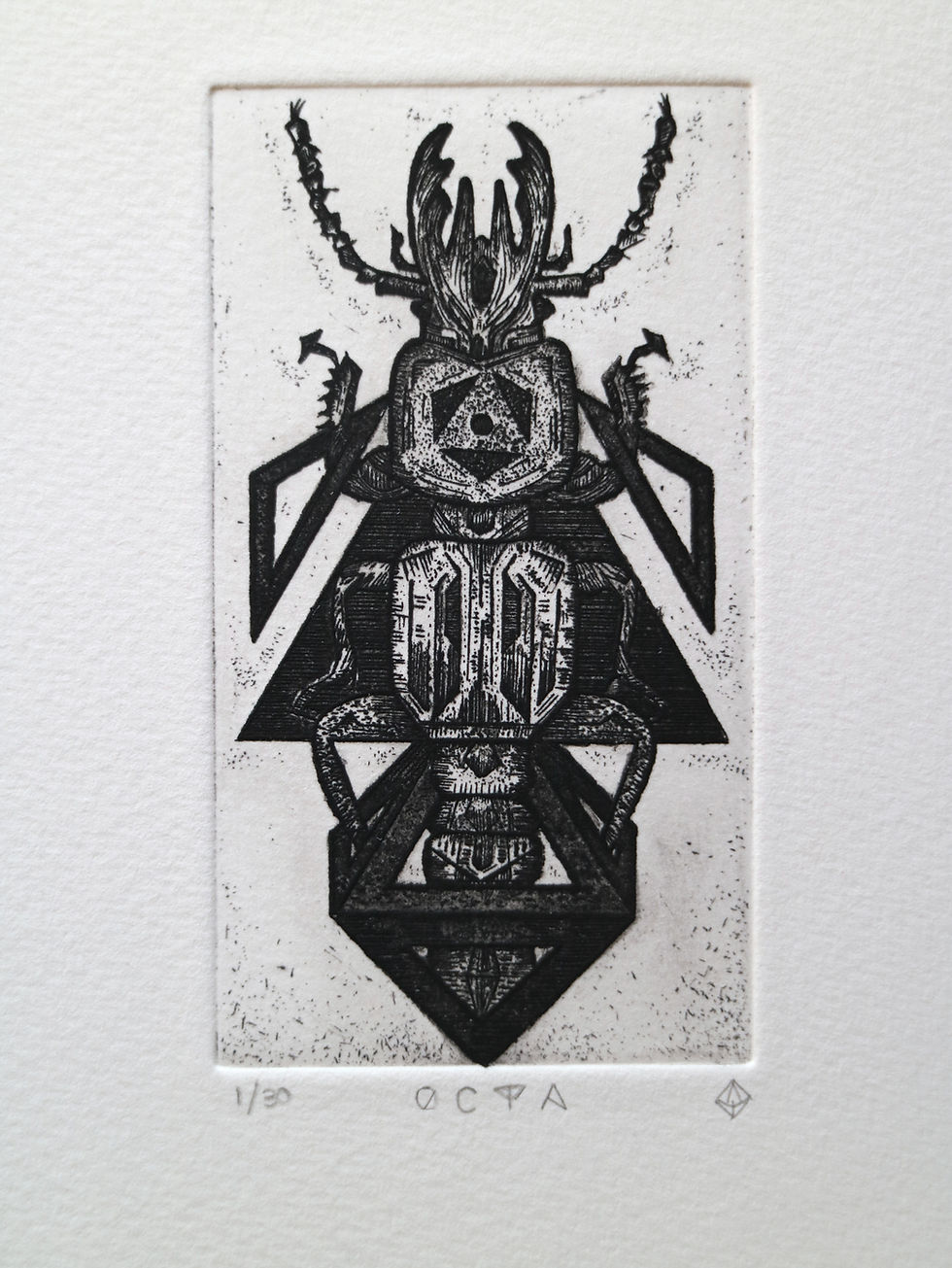 Thumbnail: Octa. Beetle Etching with aquatint. original Intaglio Print. Dionne Marshall, Punctured Artefact