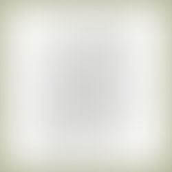 CUSTOM INK | Mathematical Nature