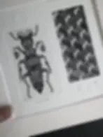 Stacked. Copperplate Etching With Emboss. Original Intaglio Print by Dionne Marshall of Punctured Artefact.