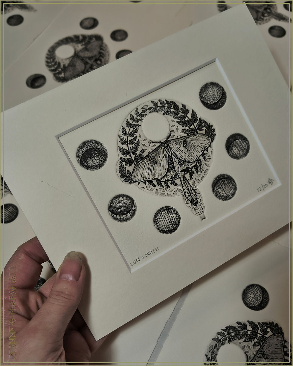 Thumbnail: Luna Moth | Copper Plate Etching | Moth with ferns & geometry. Etching With Aquatint & drypoint | By Artist Dionne Marshall -