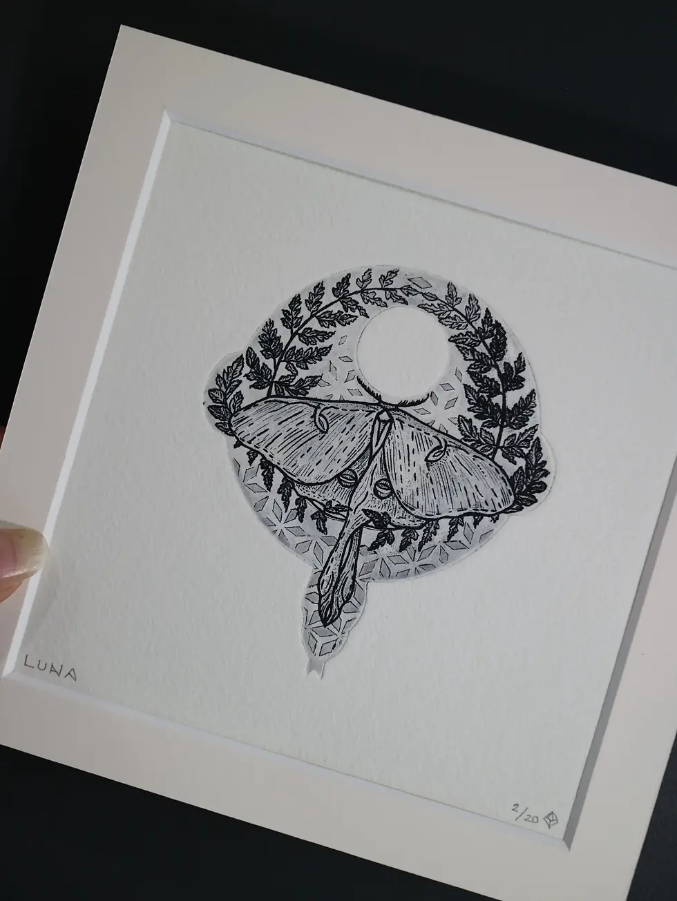 Thumbnail: LUNA. Copperplate Aquatint etching (spitbite & drypoint) original Original Intaglio print. Luna Moth.Dionne Marshall