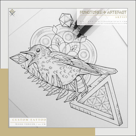 CUSTOM INK | Wood Thrush |