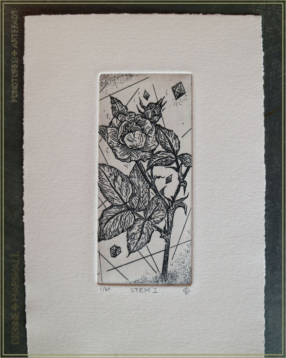 Stem 1. Botanical Etching. Original Intaglio Print. By artist Dionne Marshall
