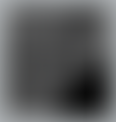 CUSTOM INK | Wild Science