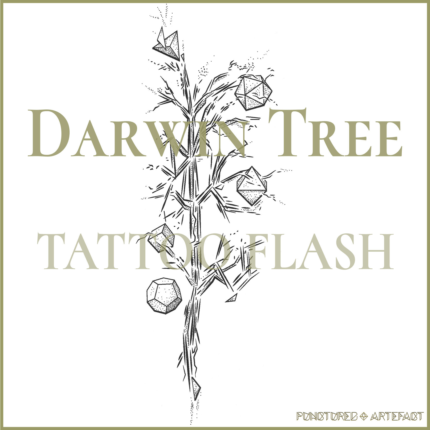 BOTANICAL 34 | Darwin Tree Tattoo Flash Image 