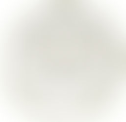 DESIGN | Symbolism | Owl