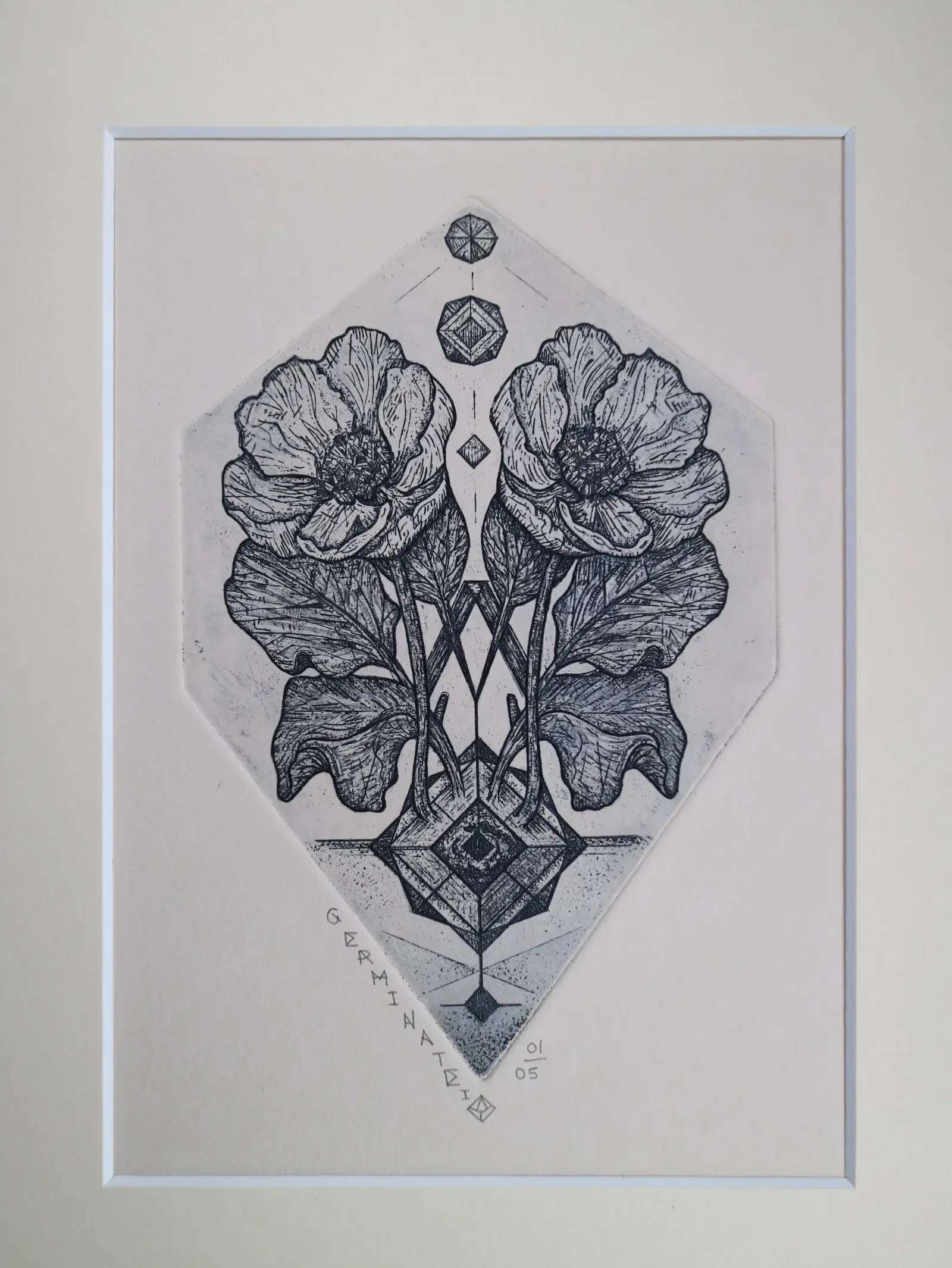 Germinate_Grey_Copperplate Botanical Etching_Dionne Marshall_Punctured Artefact