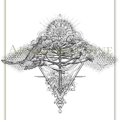 CUSTOM INK | Araucaria Pine 