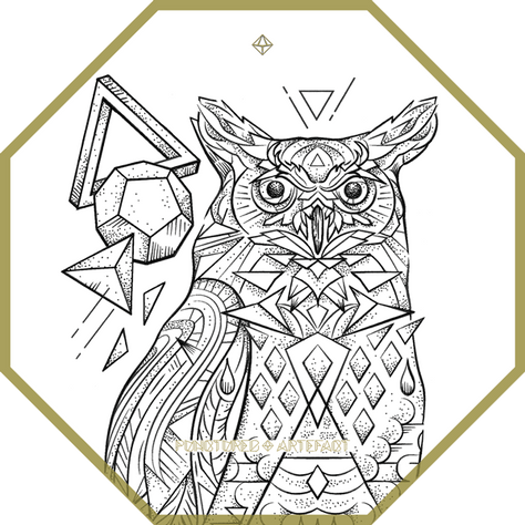 CUSTOM INK | Owl Polyhedra