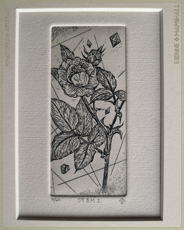 Stem 1. Botanical Etching. Original Intaglio Print. By artist Dionne Marshall