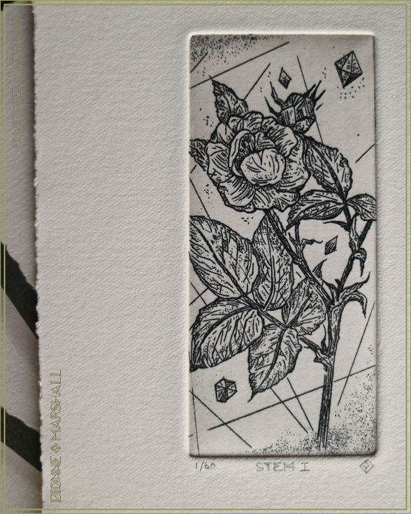 Stem 1. Botanical Etching. Original Intaglio Print. By artist Dionne Marshall