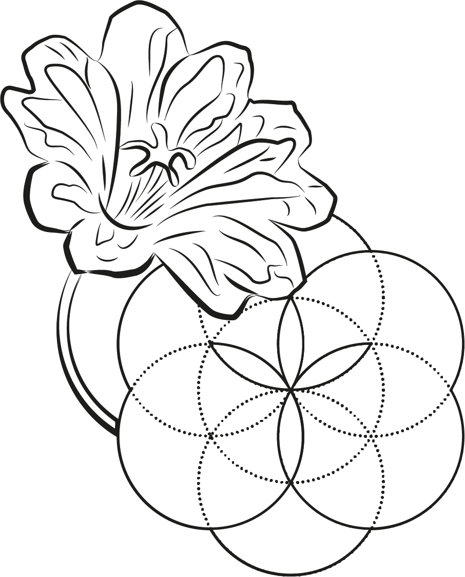 Roadrunner Drawing icon 1