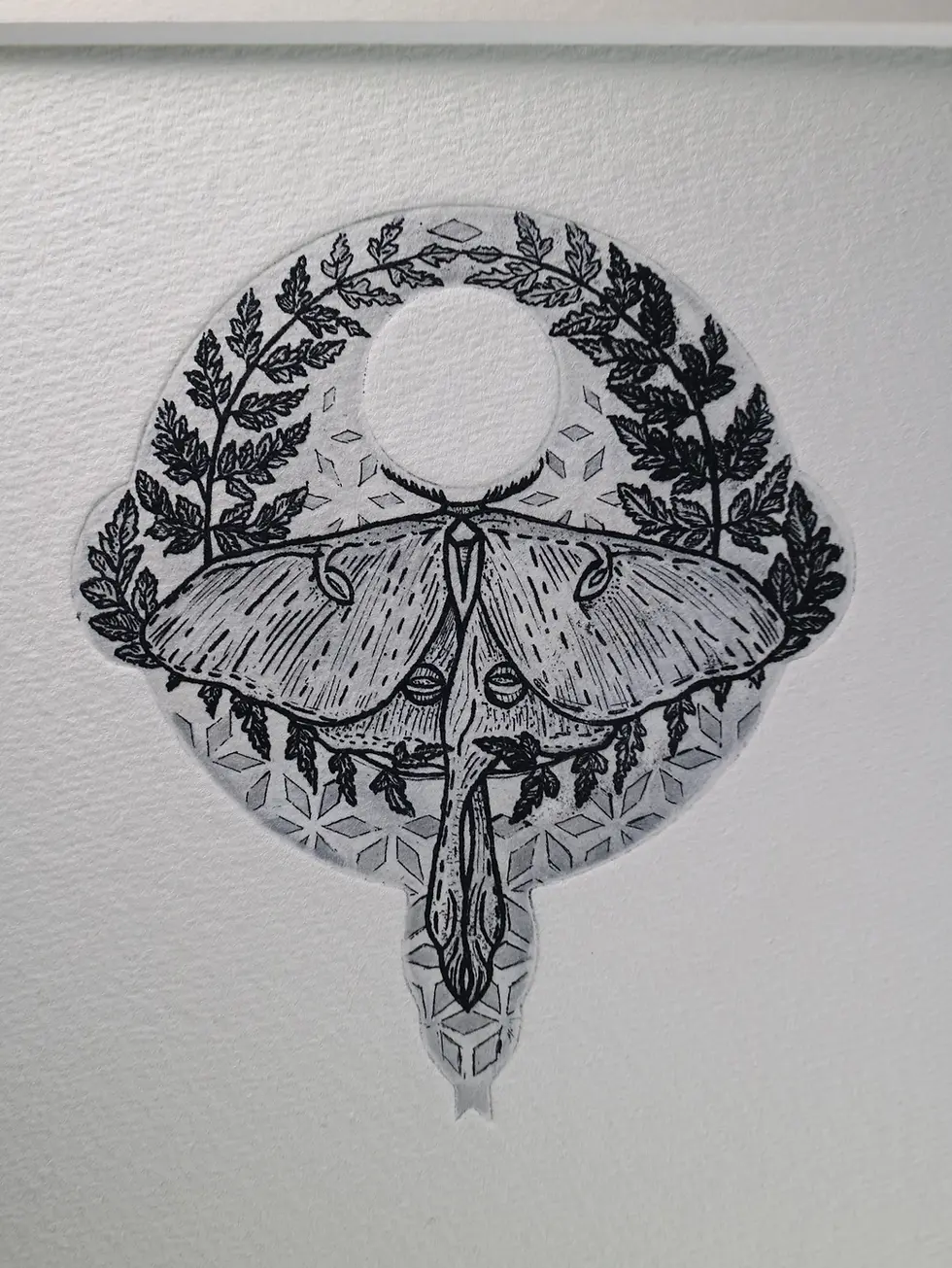 Thumbnail: LUNA. Copperplate Aquatint etching (spitbite & drypoint) original Original Intaglio print. Luna Moth.Dionne Marshall