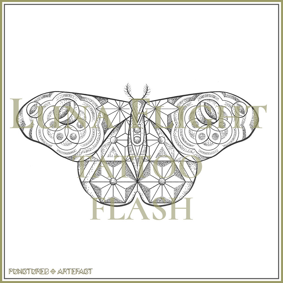 MOTH 23 | Luna Flight