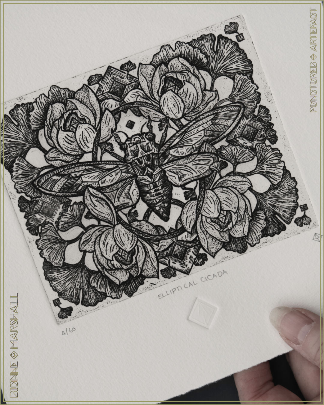 ELLIPTICAL CICADA & Botanicals. Etching with aquatint, drypoint & embossing, Original Intaglio Print by artist Dionne Marshal