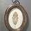 Thumbnail: Specimen 1 Oval Frame. Aquatint Etching. Featuring a beetle printed from a hand cut copper plate. Original Intaglio print by