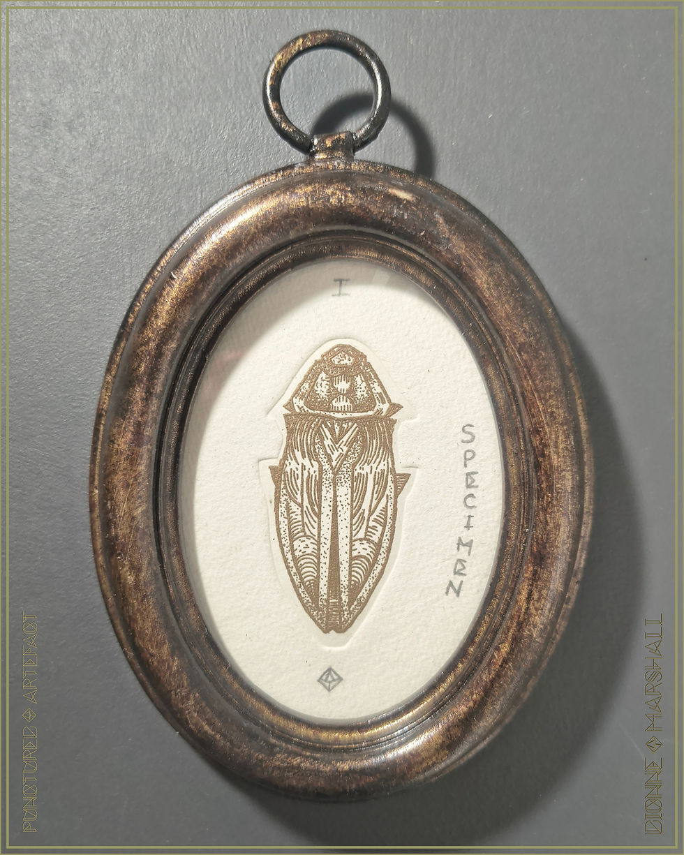 Thumbnail: Specimen 1 Oval Frame. Aquatint Etching. Featuring a beetle printed from a hand cut copper plate. Original Intaglio print by