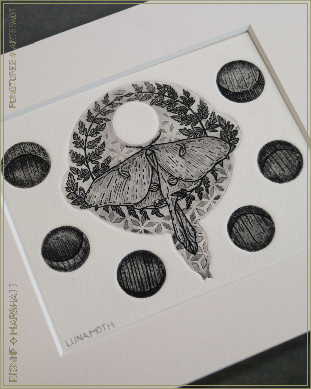 Luna Moth | Copper Plate Etching | Moth with ferns & geometry. Etching With Aquatint & drypoint | By Artist Dionne Marshall -