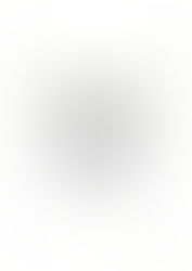 CUSTOM INK | Owl Mandala