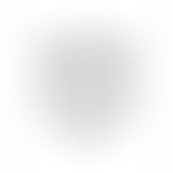 CUSTOM INK | Owl Mandala