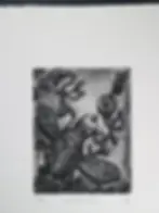 Winging.Beetle Etching.Original Intaglio Print. Dionne Marshall , Punctured Artefact