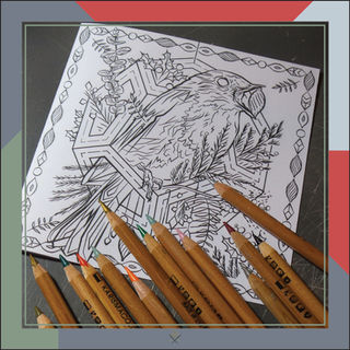 FREE DOWNLOAD | 10 | Robin Card