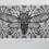 Thumbnail: Cycle Of Life Cicada | Etching With Aquatint | Cicada With Sacred Geometry | By Artist Dionne Marshall - Punctured Artefact