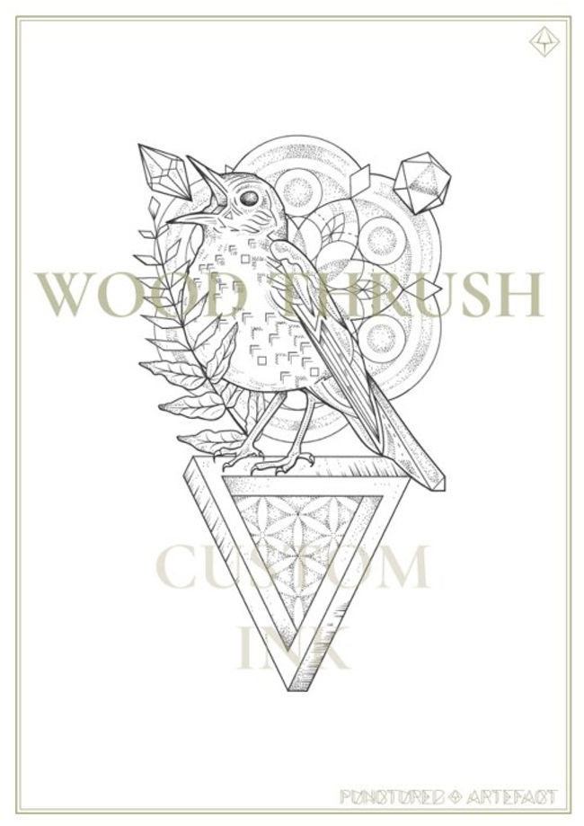 CG-Wood-Thrush-wb.jpg
