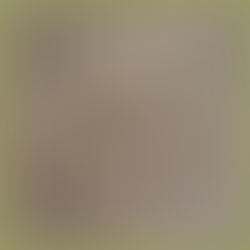 TATTOOED LEATHER | Dark Heart