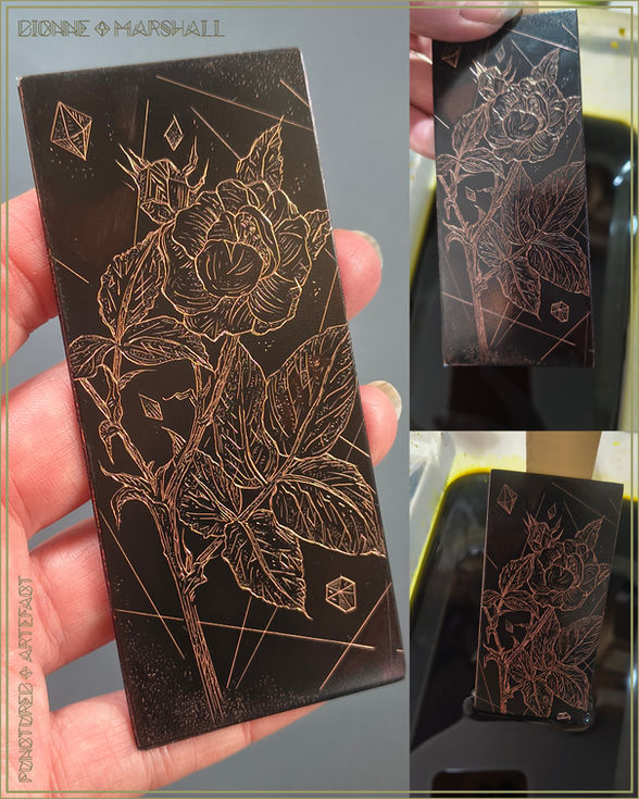 Stem 1. Botanical Etching. Original Intaglio Print. By artist Dionne Marshall