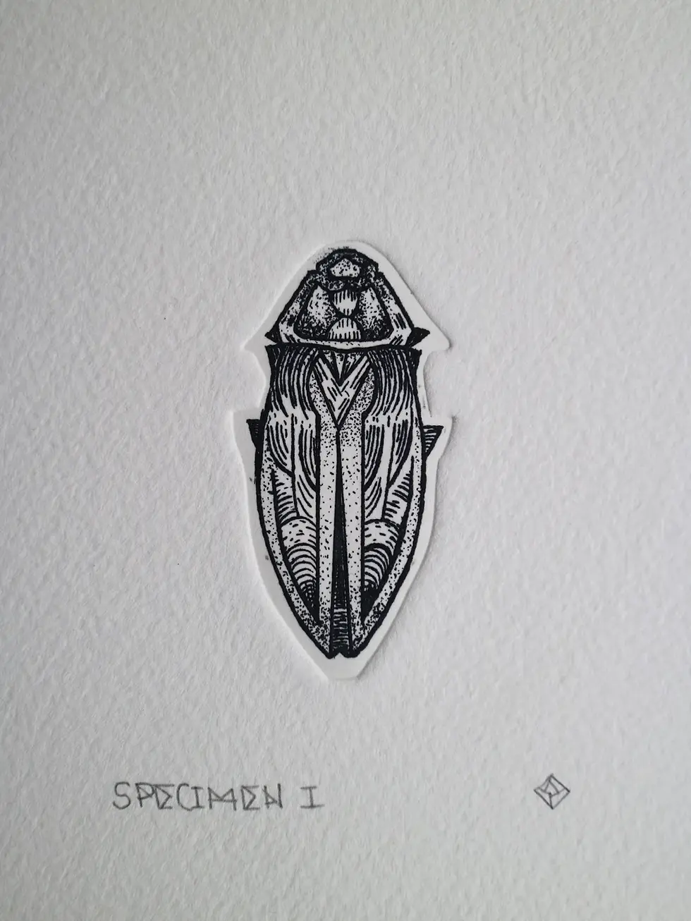 Thumbnail: Specimen 1. Sepia & Ochre. In Mount. Copperplate Aquatint Etching. Original Intaglio Print by Dionne Marshall